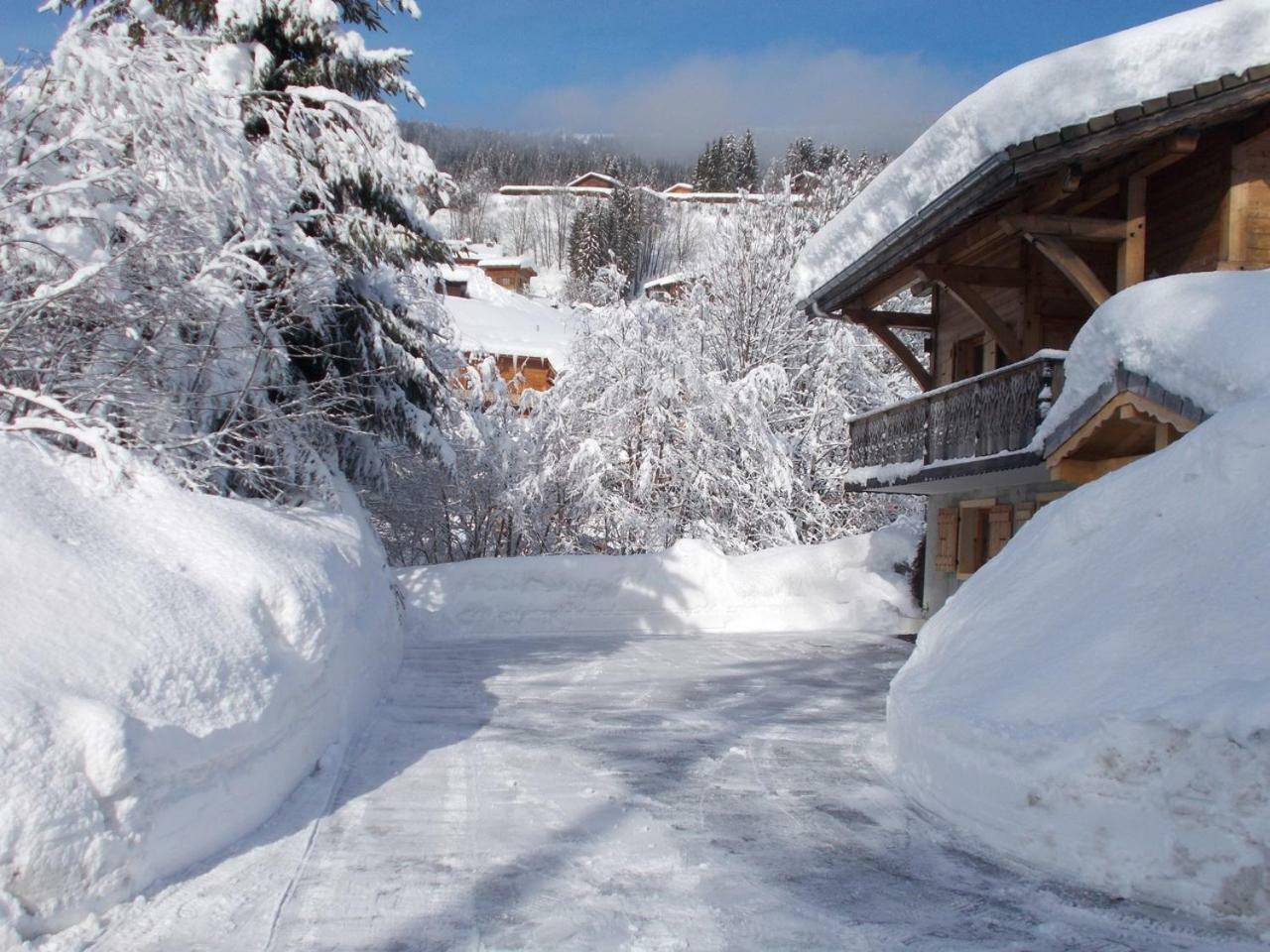 Chalet Jonquille Les Gets Extérieur photo