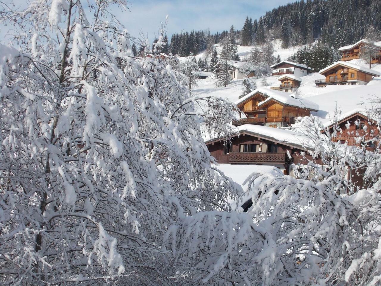Chalet Jonquille Les Gets Extérieur photo